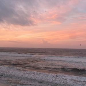 Meet your Posher, Whitney